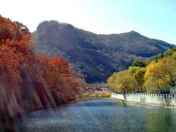 新澳天天开奖资料大全旅游团，女同小说